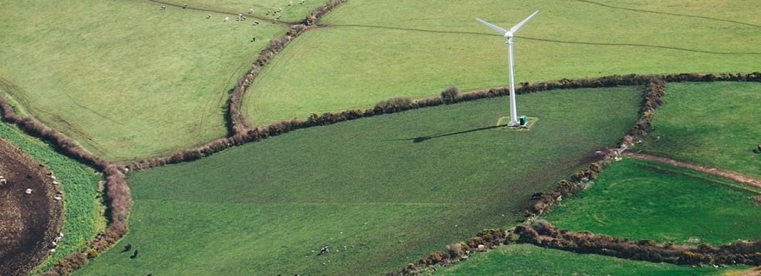 Wind turbine in a green field.